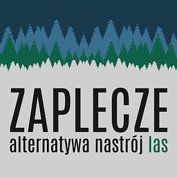 ZAPLECZE alternatywa nastrój las